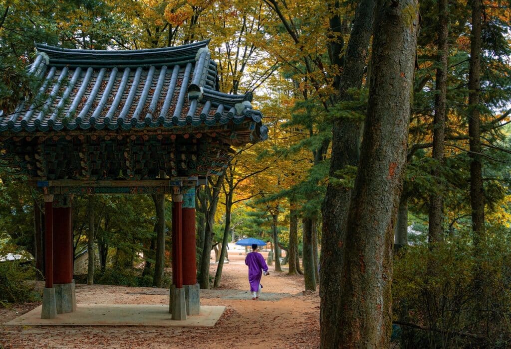 Лучшие сезоны для путешествия в Южную Корею